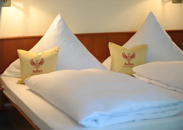 酒店 阿德尔酒店 巴德瓦德西